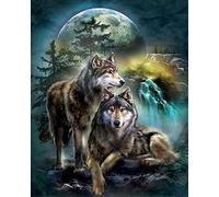 DIY 5D Diamond Painting Kits for Adult and Kids Moon Wolf Diamond Art Kits Full Drill Crystal Embroidery Cross Stitch Painting Arts Crafts Pictures for Home Wall Decoration Gifts Square Drill 40x50cm