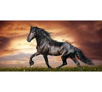 DIY 5D Diamond Painting Kits for Adults, Black Horse Diamond Art Painting Square Full Drill Crystal Rhinestone Embroidery Picture Craft Kits for Home Wall Decor Gifts 50x100cm, P114