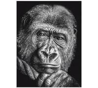 DIY 5D Diamond Painting Kits for Adults/Kids Gorilla Full Drill Diamond Embroidery Crystal Rhinestone Handmade Canvas Paintings Pictures Arts Craft for Home Wall Decor 50x60cm
