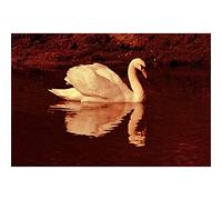 DIY 5D Diamond Painting Kits for Adults Kids, Swan Lake Diamond Art Painting Kit Full Drill Pictures Rhinestone Cross Stitch Embroidery Crafts, for Home Wall Decor Square Drill 50x100cm(20x40in)