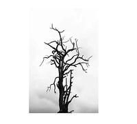 DIY 5D Diamond Painting Kits Full Drill,Black White Tree Diamond Paint by Numbers for Adults,Crystal Rhinestone Cross Stitch Diamond Embroidery Diamond Arts Crafts for Home Wall Decor 30x40cm/12x16in