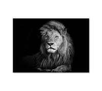 DIY 5D Diamond Painting Kits Full Drill Wild Animal Lion 80x120cm/32*48in Crystal Rhinestone Cross Stitch Diamond Painting Adults/Kids Mosaic Canvas Embroidery Diamond Art Craft for Home Wall Decor