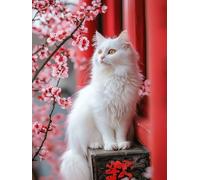 DIY 5D Diamond Painting Kits, White Cat Full Drill Diamond Art and Crafts Painting Pictures, Plum Blossom Embroidery Cross Stitch Canvas Painting by Numbers for Adults, Home Wall Decor,30x40cm A62S220