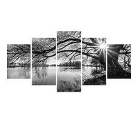 DIY 5D Full Diamond Painting Kit, Black and White Tree Lake Surface Sunshine 5 Piece Multi Art Kits for Adults Paint with Diamonds Embroidery by Numbers 17.7x37.4 inch