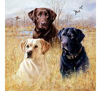 DIY 5D Full Diamond Painting Number Kits Three Cute Labrador Dog On The Grass Square Diamond Full Drill Crystal Embroidery Cross Stitch Arts Crafts for Home Wall Decor 11.8 * 15.7inch(Square Diamond)