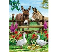 DIY Art Cross Stitch Needlecrafts Patterns Kits, Donkey Duck Flower, Full Range of Stamped Embroidery Kit with Pattern and Instructions Gift Decoration (Pre-Printed Fabric 11CT) 16 * 20 inche