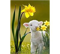 DIY Art Cross Stitch Needlecrafts Patterns Kits, Lamb Yellow Flower, Full Range of Stamped Embroidery Kit with Pattern and Instructions Gift Decoration (Pre-Printed Fabric 11CT) 16 * 20 inche