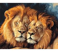 DIY Beaded Embroidery Kits Two Lions Animals DIY Beaded Stitching Stamped Bead Cross Stitch Kit Gift for Friends 60x80cm