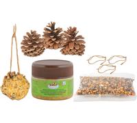 DIY Bird Food Pinecone