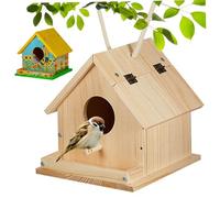 DIY Bird House Kit, Wooden Birdhouses to Paint & Build, Complete with Brush, Screwdriver & 6 Paint Colors for Kids 3+
