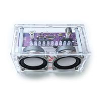 DIY Bluetooth Speaker Kit with LED Light Show - Acrylic Case Dual Speaker Set - Soldering Practice Electronics Kit for Adults & Teens - STEM Projects