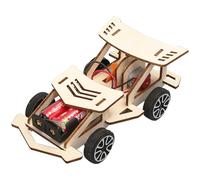 DIY Creative Handmade Technology Toys, Dc Motor Kit Stem Mini Electric Motor Kit for DIY Science Projects, Wood Arts and Craft Model Kits, Electrical Engineering Kits for Education Projects