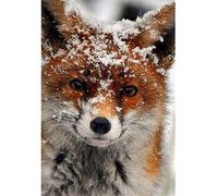 DIY Cross Stitch Needlework Kits for Adults Fox Animal in The Snow 11CT Stamped Cross-Stitching Supplies Kits Printed Pattern Fabric Embroidery Needlepoint Crafts 16x20 inch