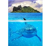 DIY Diamond Art Kits Shark Island 5D Full Drill Diamond Painting Kits for Adult Crystal Rhinestone Painting Embroidery Cross Stitch Art Perfect Diamond Craft for Home Wall Decor Square Drill 60x80cm