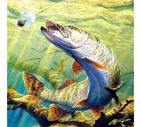 DIY Diamond Art Kits, Trout in The Sea (12x16in) 5D Diamond Painting for Adults, Diamond Painting Gift for Kids,DIY Crystal Rhinestone Embroidery Diamond Painting for Home Wall Decor 30x40cm