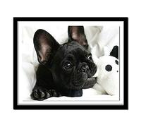 DIY Diamond Painting Black French Bulldog Full Dog Diamond Embroidery Round Diamond Paste Pattern Beads 30X40Cm
