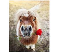 DIY Diamond Painting by Number Kit for Adults Kids, Pony Rose 25x30cm 5D Diamond Art Kits Full Drill Crystal Rhinestone Embroidery Cross Stitch Arts Craft for Room Decoration Home Office