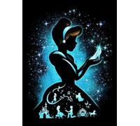 DIY Diamond Painting Cinderella Diamond Art Kits, 5D Full Drill Cross Stitch Embroidery kit, Funny