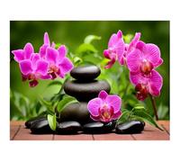 DIY Diamond Painting Orchid Square Stones Phalaenopsis 19x15 inches 5D Embroidery Large Pictures Painting by Numbers for Adults Beginners Diamond Art Full Kits Puzzle Children Wall Decor 50x40cm