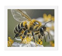 DIY Digital Painting by Numbers Kit for Adults Beginners - Honey Bee Paint by Numbers Kits, DIY Acrylic Painting on Canvas for Home Decor 60x75cm