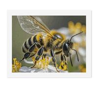 DIY Digital Painting by Numbers Kit for Adults Beginners - Honey Bee Paint by Numbers Kits, DIY Acrylic Painting on Canvas for Home Decor 50x65cm