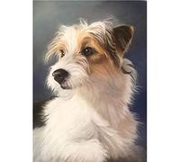 DIY Digital Painting by Numbers Kits Jack Russell Terrier Cute Puppy New Paint by Numbers on Canvas Gift for Adults and Kids Birthday Wedding Christmas Decor Decorations