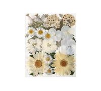 Diy Dried Flower Kitpressed Flowers For Crafts 25 Botanical Specimens For Crafting, Bookmarks, And Embellishments (White Petals)