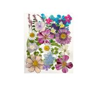 Diy Dried Flower Kitpressed Flowers For Crafts 25 Botanical Specimens For Crafting, Bookmarks, And Embellishments (Colourful petals)