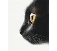DIY Embroidery Starter Kit Cartoon Black Cat Animal DIY Bead Embroidery Craft Kit for Beginners Cross Stitch Needlework Set 50x70cm
