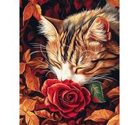 DIY Embroidery Starter Kit Cat Animal and Red Rose Flower Beaded Cross Stitch Beading Embroidery DIY Wall Hanging 3D Bead Set 40x50cm