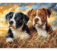 DIY Embroidery Starter Kit Two Dogs Animals DIY Bead Embroidery Craft Kit for Beginners Cross Stitch Needlework Set 50x70cm