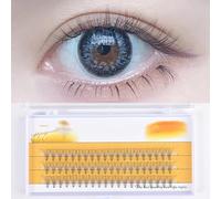 DIY Eyelash Extensions,60pcs Cluster Lashes - D Curl 0.07, 13mm - Soft Individual Lashes, False Eyelashes for a Natural, Fluffy Look (13mm)