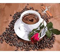 DIY Fabric Decorating Kits, ABEUTY Paint by Numbers Coffee & Rose 16x20 inches Number Painting Wall Art