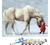 DIY Fabric Decorating Kits, ABEUTY Paint by Numbers Horse in The Snow 16x20 inches Number Painting Wall Art (No Frame)