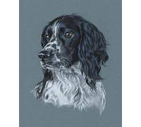 DIY Filling Oil Canvas Paint by Number Kit Springer Spaniel Dog Paint by Numbers for Adults and Kids DIY Oil Painting Gift Kits Pre Printed