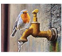 DIY Handmade 5D Diamond Painting Kit Robin Bird Full-Drill Embroidery Picture Home Decor Wall Artwork