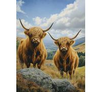 DIY Highland Cows Diamond Art Full Drill 12x16 Inch Diamond Painting Kits for Adults & Beginners - DIY Art Crafts for Relaxation and Home Wall Decor 821