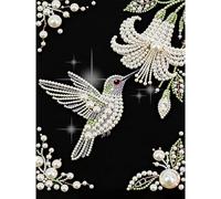 DIY Hummingbird Diamond Pearl Painting Kit for Adults and Beginners, 30x40cm 5D Diamond Art Pearl Painting No Frame, Handmade Crystal Rhinestone All-Pearls Diamonds Art Crafts for Home Wall Decor