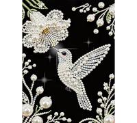 DIY Hummingbird Diamond Pearl Painting Kit for Adults and Beginners, 30x40cm 5D Diamond Art Pearl Painting No Frame, Handmade Crystal Rhinestone All-Pearls Diamonds Art Crafts for Home Wall Decor