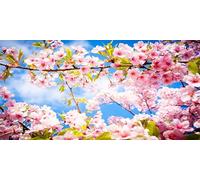 DIY Large Diamond Art Kits for Adults, Cherry Blossoms Square Drill Full Drill Crystal Rhinestone Embroidery, Diamond Painting Cross Stitch 5D Gem Art Crafts Set for Home Wall Decor 50x100cm Au15177