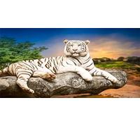 DIY Large Diamond Art Kits for Adults, White Tiger Round Drill Full Drill Crystal Rhinestone Embroidery Canvas, Diamond Painting Cross Stitch 5D Gem Art Crafts Set for Home Wall Decor 50x100cm Au291