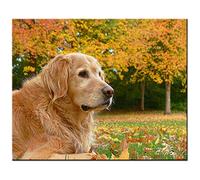 DIY Large Dog Wooden Jigsaw Puzzles for Adults 1000 Pieces Art Golden Retriever Dog Autumn Leaves N47