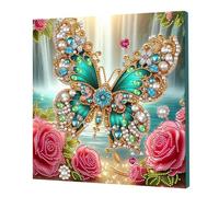 DIY Large Gem Art Kit with Frame Special Shaped 9.84x9.84inch