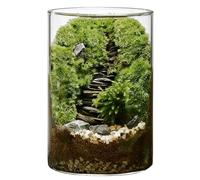 DIY Large Moss Terrarium Kit, Borosilicate Glass Ecosystem Bottle for Indoor Plants, Moss Micro Landscape with Material Pack and Tools, 5.9 x 3.9 in