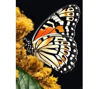 Diy Latch Hook Rug Kits Colorful Butterflies And Flowers Latch Hook Rug Kit Diy Cushion Making，Diy Tapestry For Home Decor Teenager And Adults Carpet Set 31x45in