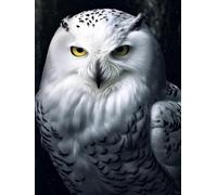 Diy Latch Hook Rug Kits White Owl Animal Diy Latch Hook Kit For Adults Beginners，Cross Stitch Set Carpet Making Cushion Needlework Embroidery Craft Kits Cushion 31x63in