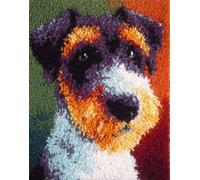 DIY Latch Hook Rug Making Kit for Adults Kids Dog 21X29In/55X75Cm Embroidery Kits Cross Stitch Kit Carpet Making Kit Needlework DIY Craft Kits for Home Deco
