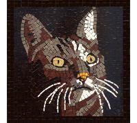 DIY Mosaic Art Kit Square 7inch 20cm Cat