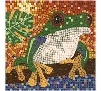 DIY Mosaic Art Kit Square 7inch 20cm Frog