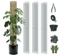 DIY Moss Poles Plastic Monstera Plant Support Self Watering Plant Poles for Climbing Indoor Plants Work with Sphagnum Moss(12 ft D Shaped Translucent Plant Pole)